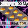 Kamagra 100Mg cialis1